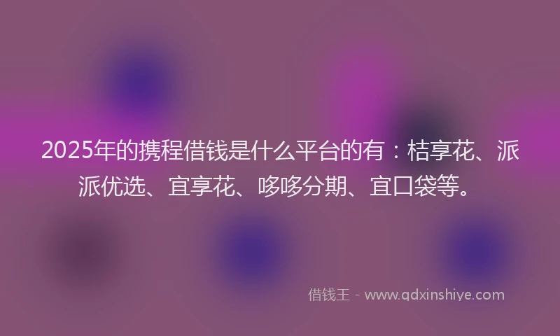 2025年的携程借钱是什么平台的有：桔享花、派派优选、宜享花、哆哆分期、宜口袋等。