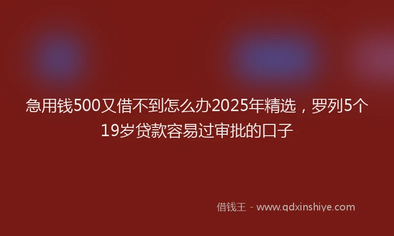 急用钱500又借不到怎么办2025年精选，罗列5个19岁贷款容易过审批的口子
