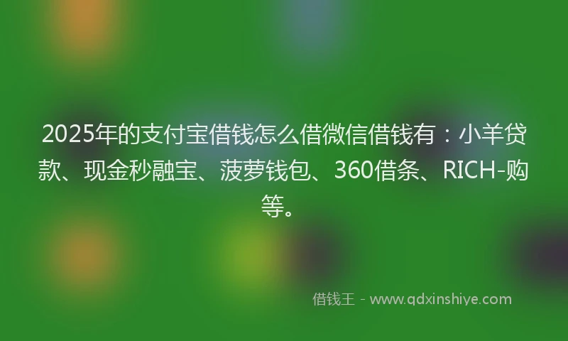 2025年的支付宝借钱怎么借微信借钱有：小羊贷款、现金秒融宝、菠萝钱包、360借条、RICH-购等。