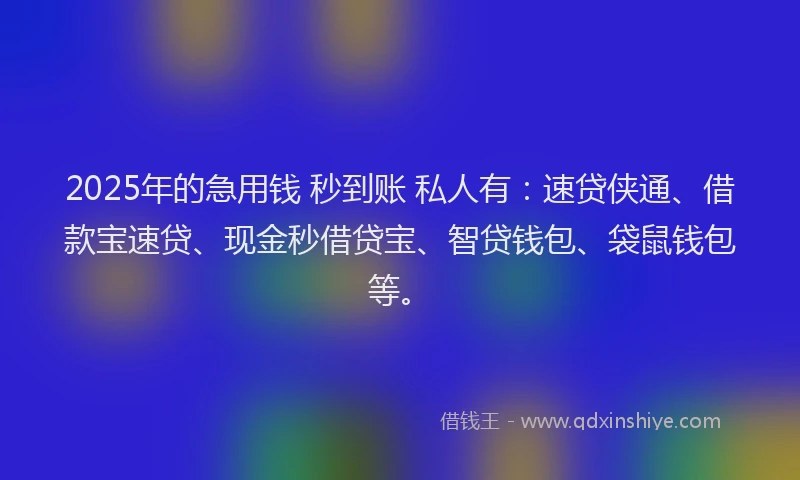 2025年的急用钱 秒到账 私人有：速贷侠通、借款宝速贷、现金秒借贷宝、智贷钱包、袋鼠钱包等。