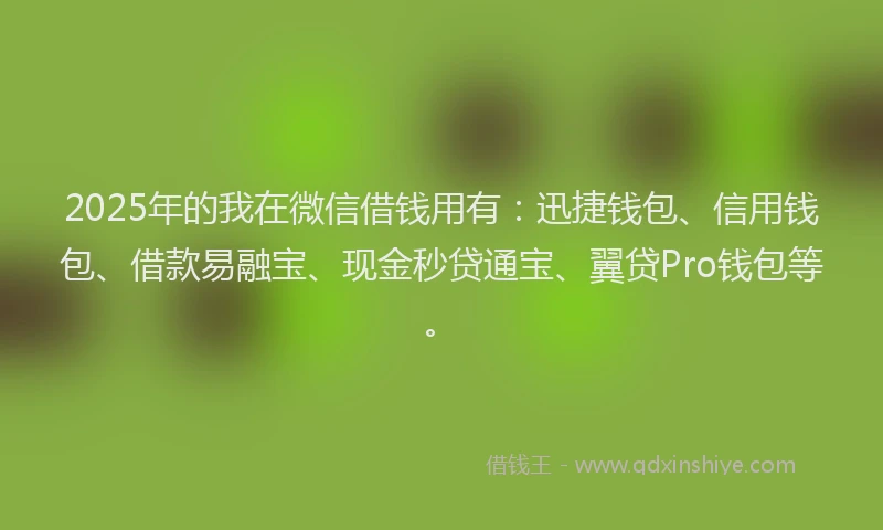 2025年的我在微信借钱用有：迅捷钱包、信用钱包、借款易融宝、现金秒贷通宝、翼贷Pro钱包等。