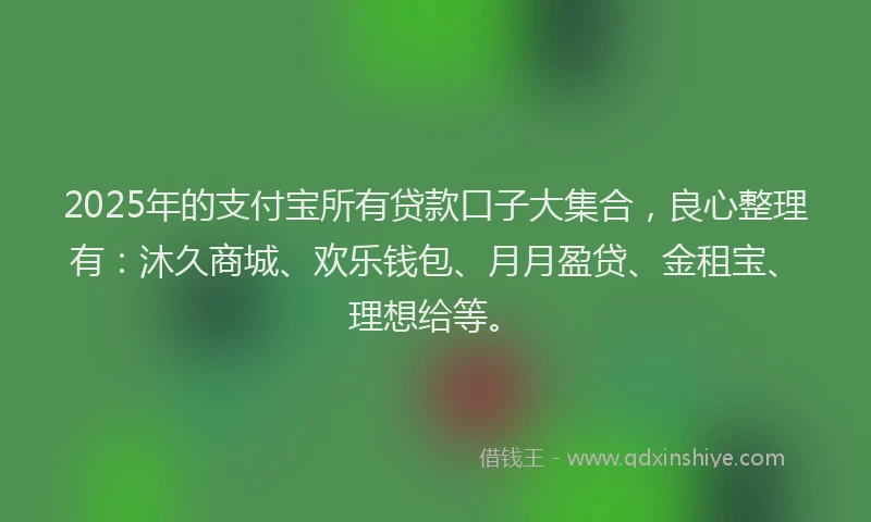 2025年的支付宝所有贷款口子大集合，良心整理有：沐久商城、欢乐钱包、月月盈贷、金租宝、理想给等。
