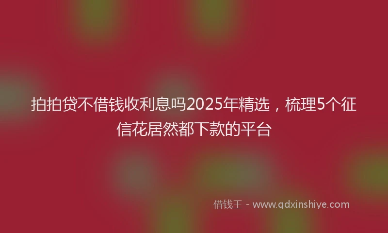 拍拍贷不借钱收利息吗2025年精选，梳理5个征信花居然都下款的平台
