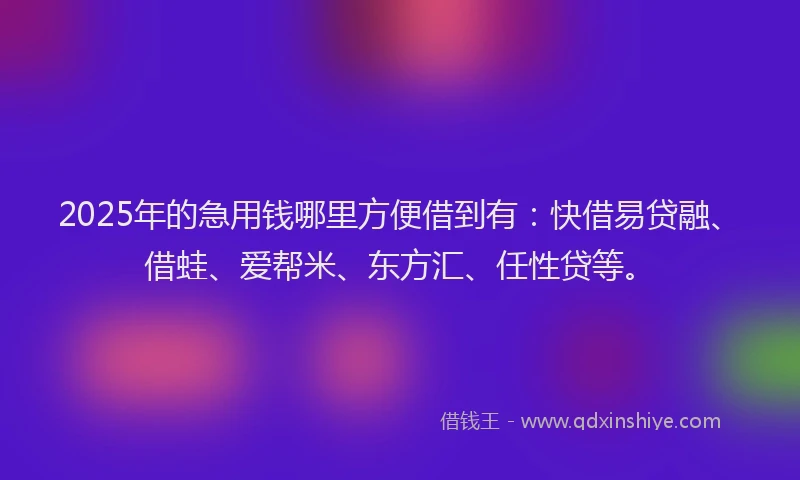 2025年的急用钱哪里方便借到有：快借易贷融、借蛙、爱帮米、东方汇、任性贷等。