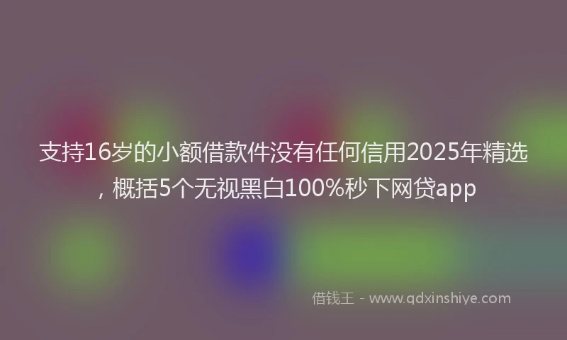 支持16岁的小额借款件没有任何信用2025年精选，概括5个无视黑白100%秒下网贷app
