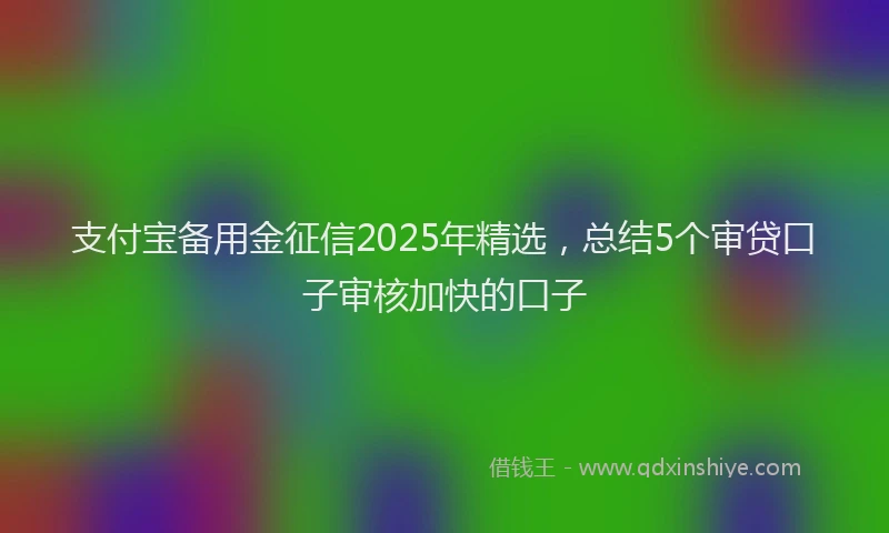 支付宝备用金征信2025年精选，总结5个审贷口子审核加快的口子