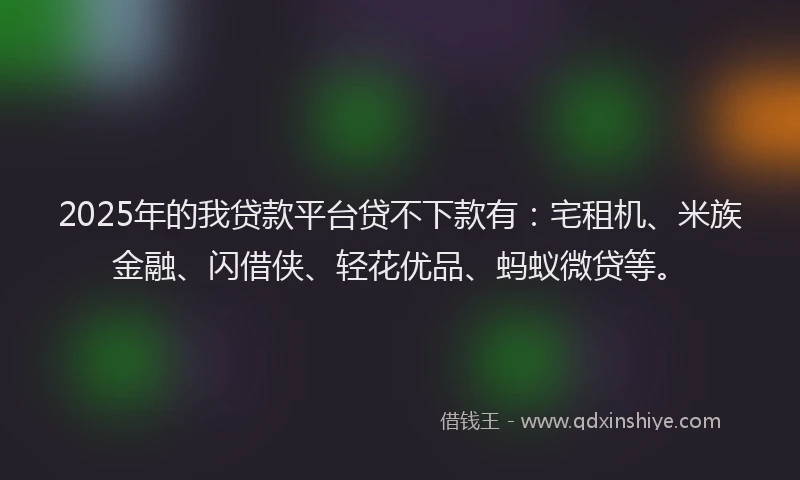 2025年的我贷款平台贷不下款有：宅租机、米族金融、闪借侠、轻花优品、蚂蚁微贷等。
