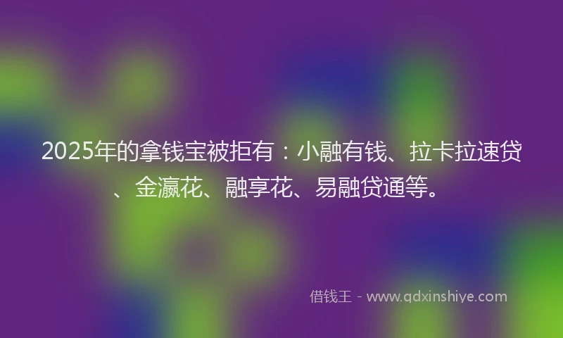 2025年的拿钱宝被拒有：小融有钱、拉卡拉速贷、金瀛花、融享花、易融贷通等。