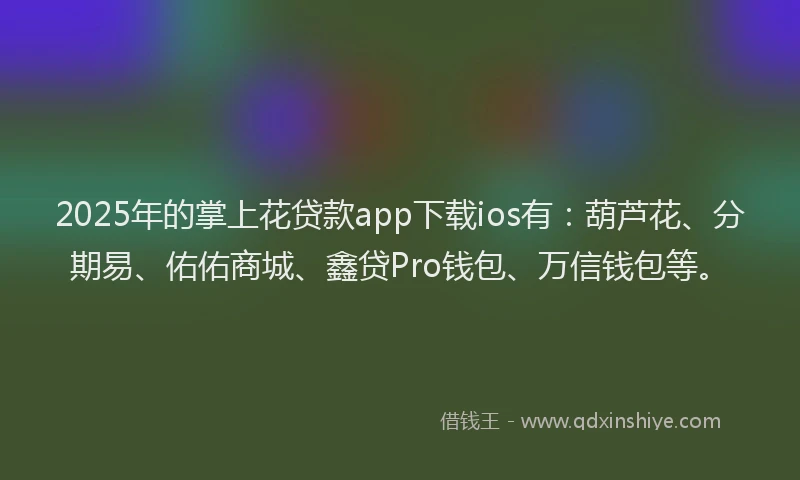 2025年的掌上花贷款app下载ios有：葫芦花、分期易、佑佑商城、鑫贷Pro钱包、万信钱包等。