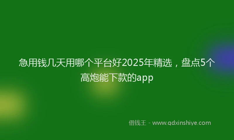 急用钱几天用哪个平台好2025年精选，盘点5个高炮能下款的app