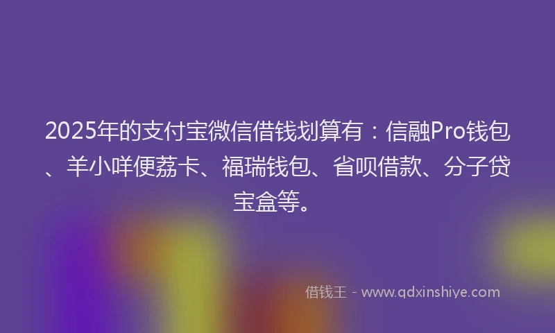 2025年的支付宝微信借钱划算有：信融Pro钱包、羊小咩便荔卡、福瑞钱包、省呗借款、分子贷宝盒等。