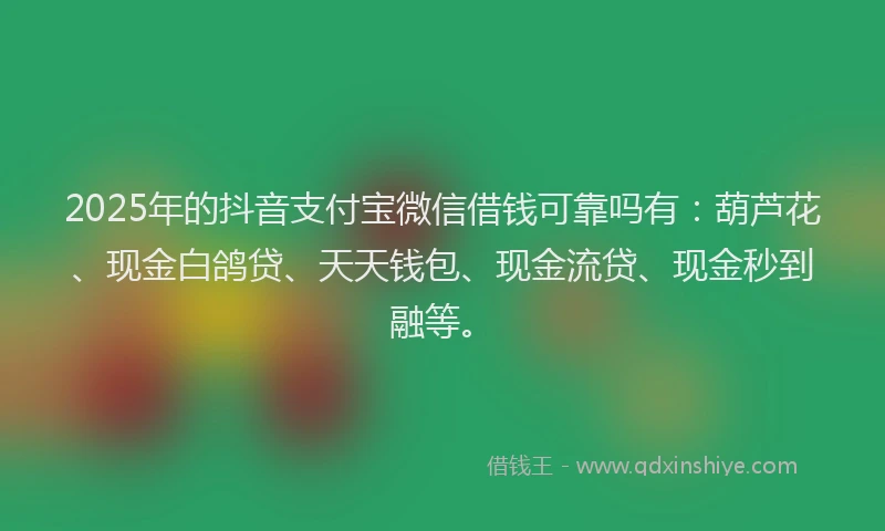 2025年的抖音支付宝微信借钱可靠吗有：葫芦花、现金白鸽贷、天天钱包、现金流贷、现金秒到融等。