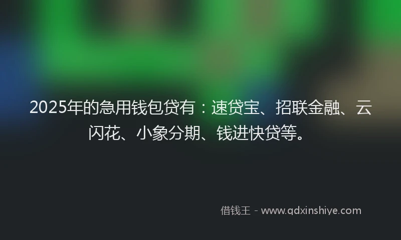 2025年的急用钱包贷有：速贷宝、招联金融、云闪花、小象分期、钱进快贷等。