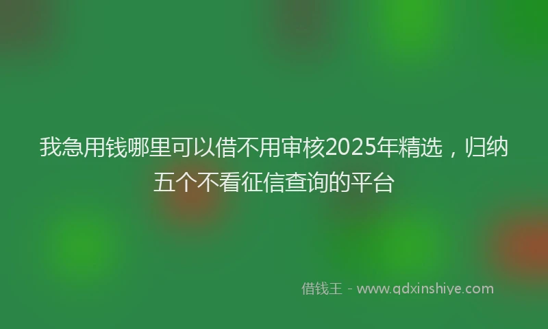我急用钱哪里可以借不用审核2025年精选，归纳五个不看征信查询的平台