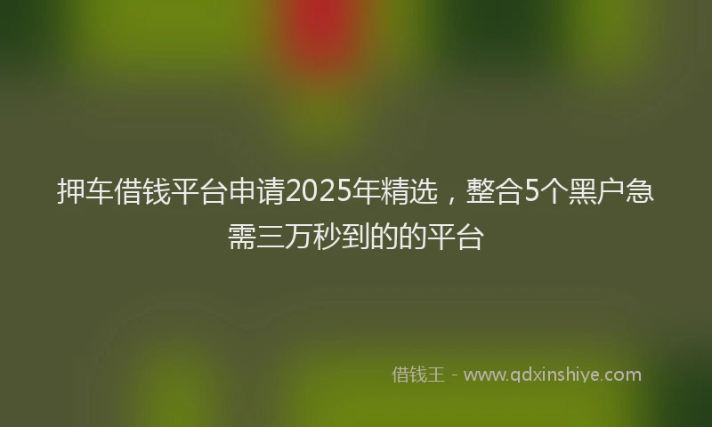 押车借钱平台申请2025年精选，整合5个黑户急需三万秒到的的平台