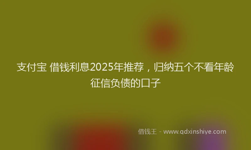 支付宝 借钱利息2025年推荐，归纳五个不看年龄征信负债的口子
