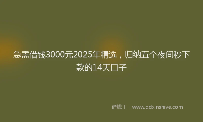 急需借钱3000元2025年精选，归纳五个夜间秒下款的14天口子