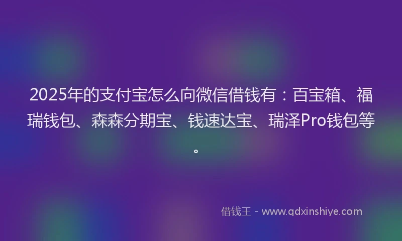 2025年的支付宝怎么向微信借钱有：百宝箱、福瑞钱包、森森分期宝、钱速达宝、瑞泽Pro钱包等。