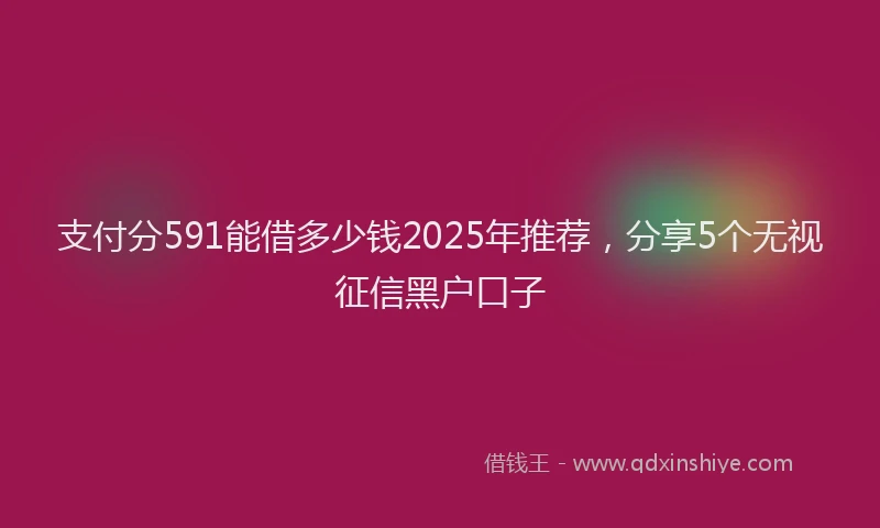支付分591能借多少钱2025年推荐，分享5个无视征信黑户口子