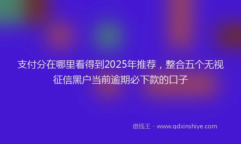 支付分在哪里看得到2025年推荐，整合五个无视征信黑户当前逾期必下款的口子