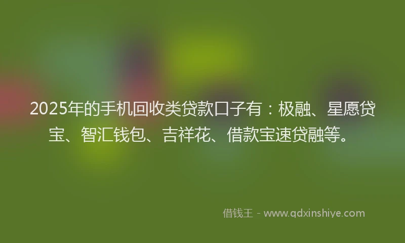2025年的手机回收类贷款口子有：极融、星愿贷宝、智汇钱包、吉祥花、借款宝速贷融等。