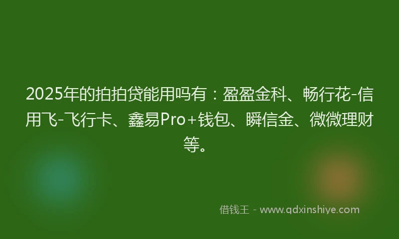 2025年的拍拍贷能用吗有：盈盈金科、畅行花-信用飞-飞行卡、鑫易Pro+钱包、瞬信金、微微理财等。