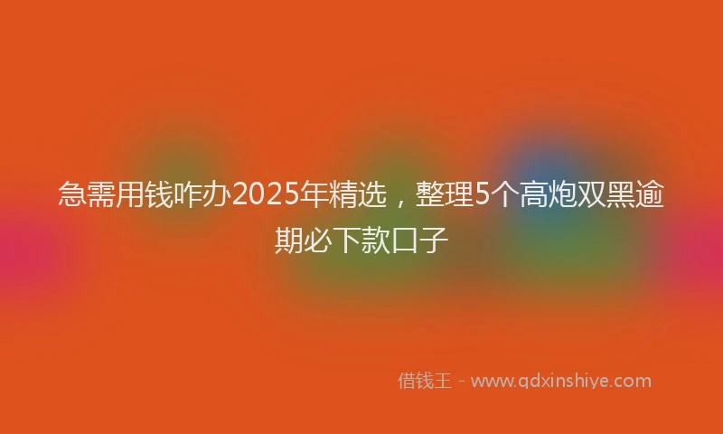 急需用钱咋办2025年精选，整理5个高炮双黑逾期必下款口子