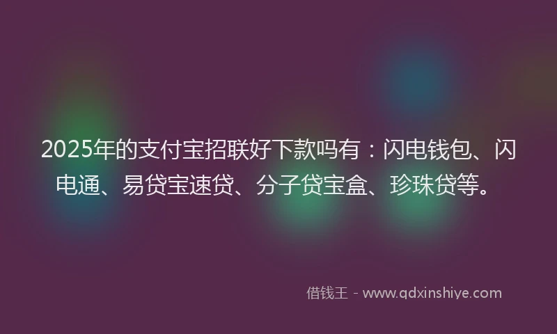 2025年的支付宝招联好下款吗有：闪电钱包、闪电通、易贷宝速贷、分子贷宝盒、珍珠贷等。