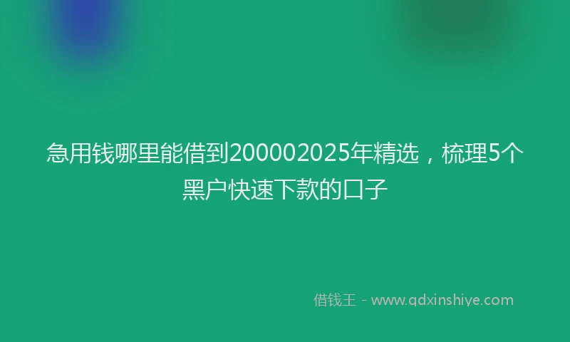 急用钱哪里能借到200002025年精选，梳理5个黑户快速下款的口子