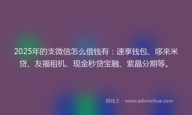 2025年的支微信怎么借钱有：速享钱包、哆来米贷、友福租机、现金秒贷宝融、紫晶分期等。