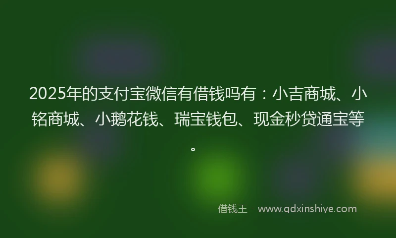 2025年的支付宝微信有借钱吗有：小吉商城、小铭商城、小鹅花钱、瑞宝钱包、现金秒贷通宝等。