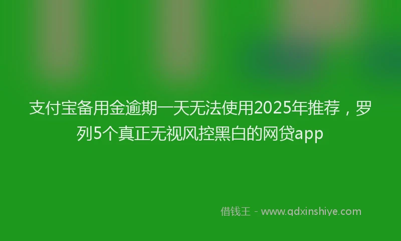 支付宝备用金逾期一天无法使用2025年推荐，罗列5个真正无视风控黑白的网贷app