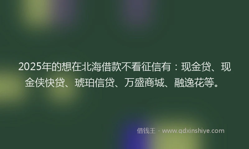 2025年的想在北海借款不看征信有：现金贷、现金侠快贷、琥珀信贷、万盛商城、融逸花等。