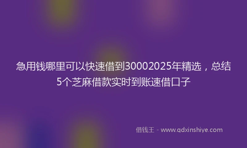 急用钱哪里可以快速借到30002025年精选，总结5个芝麻借款实时到账速借口子