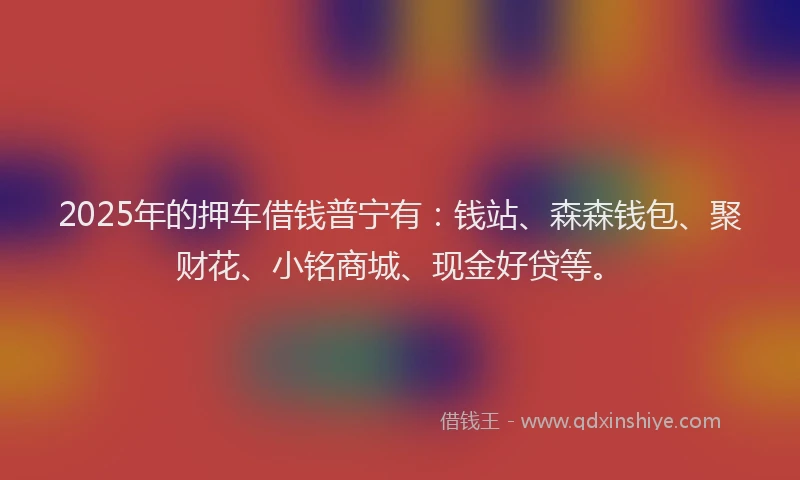 2025年的押车借钱普宁有：钱站、森森钱包、聚财花、小铭商城、现金好贷等。