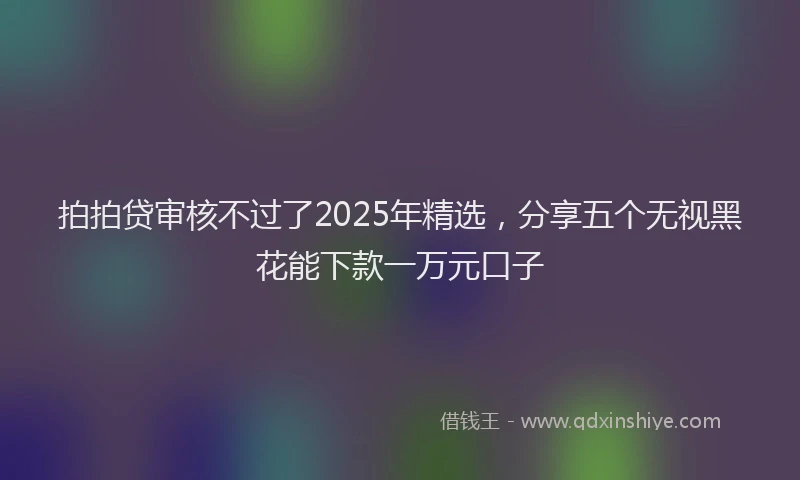 拍拍贷审核不过了2025年精选，分享五个无视黑花能下款一万元口子