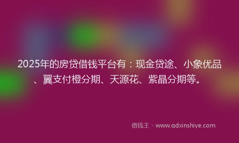 2025年的房贷借钱平台有：现金贷途、小象优品、翼支付橙分期、天源花、紫晶分期等。