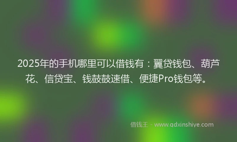 2025年的手机哪里可以借钱有：翼贷钱包、葫芦花、信贷宝、钱鼓鼓速借、便捷Pro钱包等。