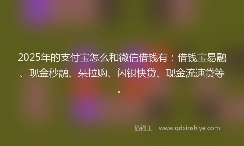 2025年的支付宝怎么和微信借钱有：借钱宝易融、现金秒融、朵拉购、闪银快贷、现金流速贷等。