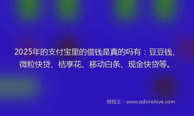 2025年的支付宝里的借钱是真的吗有：豆豆钱、微粒快贷、桔享花、移动白条、现金快贷等。