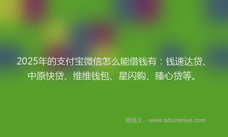 2025年的支付宝微信怎么能借钱有：钱速达贷、中原快贷、维维钱包、星闪购、臻心贷等。