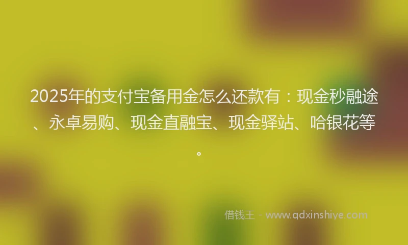 2025年的支付宝备用金怎么还款有：现金秒融途、永卓易购、现金直融宝、现金驿站、哈银花等。