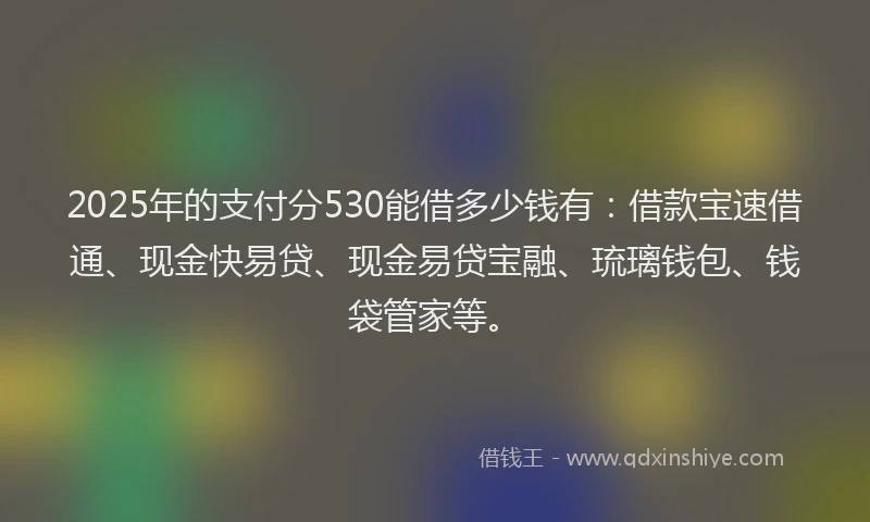 2025年的支付分530能借多少钱有：借款宝速借通、现金快易贷、现金易贷宝融、琉璃钱包、钱袋管家等。