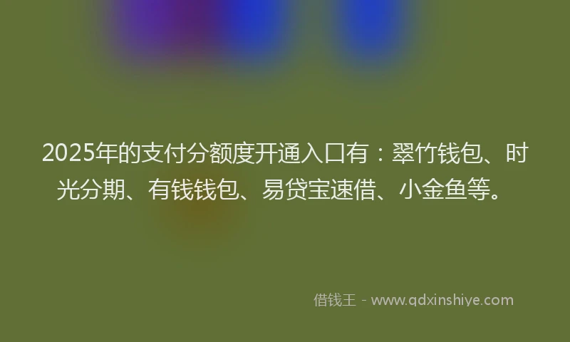 2025年的支付分额度开通入口有：翠竹钱包、时光分期、有钱钱包、易贷宝速借、小金鱼等。