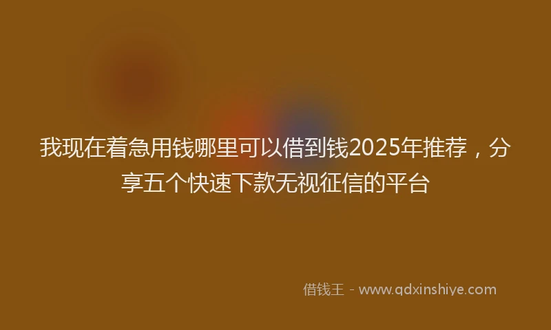 我现在着急用钱哪里可以借到钱2025年推荐，分享五个快速下款无视征信的平台
