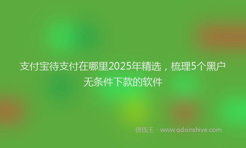 支付宝待支付在哪里2025年精选，梳理5个黑户无条件下款的软件