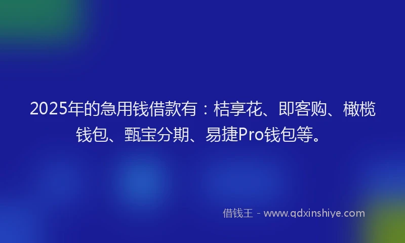 2025年的急用钱借款有：桔享花、即客购、橄榄钱包、甄宝分期、易捷Pro钱包等。