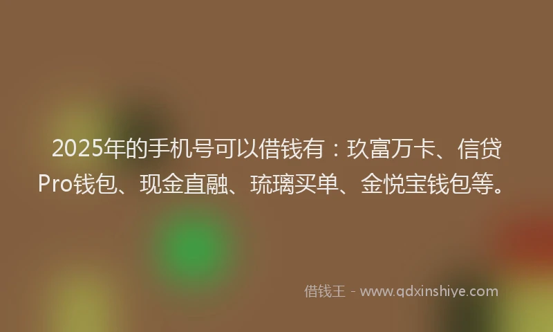 2025年的手机号可以借钱有：玖富万卡、信贷Pro钱包、现金直融、琉璃买单、金悦宝钱包等。