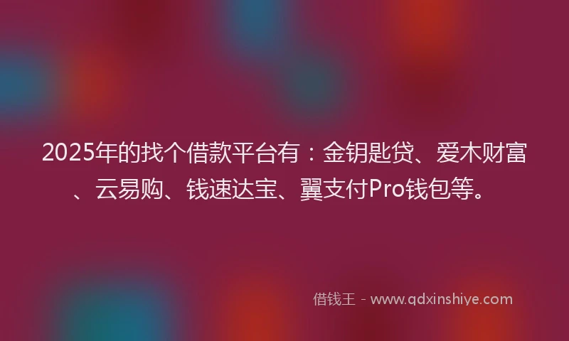 2025年的找个借款平台有：金钥匙贷、爱木财富、云易购、钱速达宝、翼支付Pro钱包等。