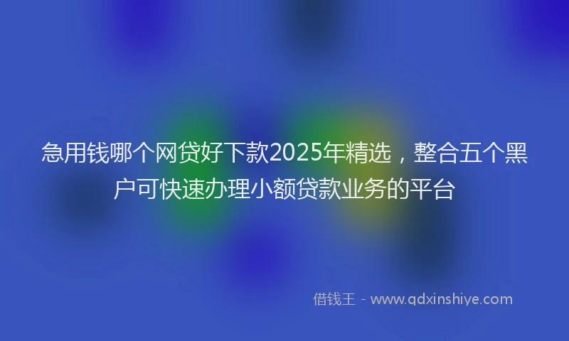 急用钱哪个网贷好下款2025年精选，整合五个黑户可快速办理小额贷款业务的平台